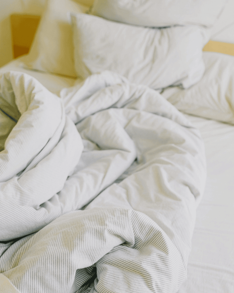 Bed Bug Bedding